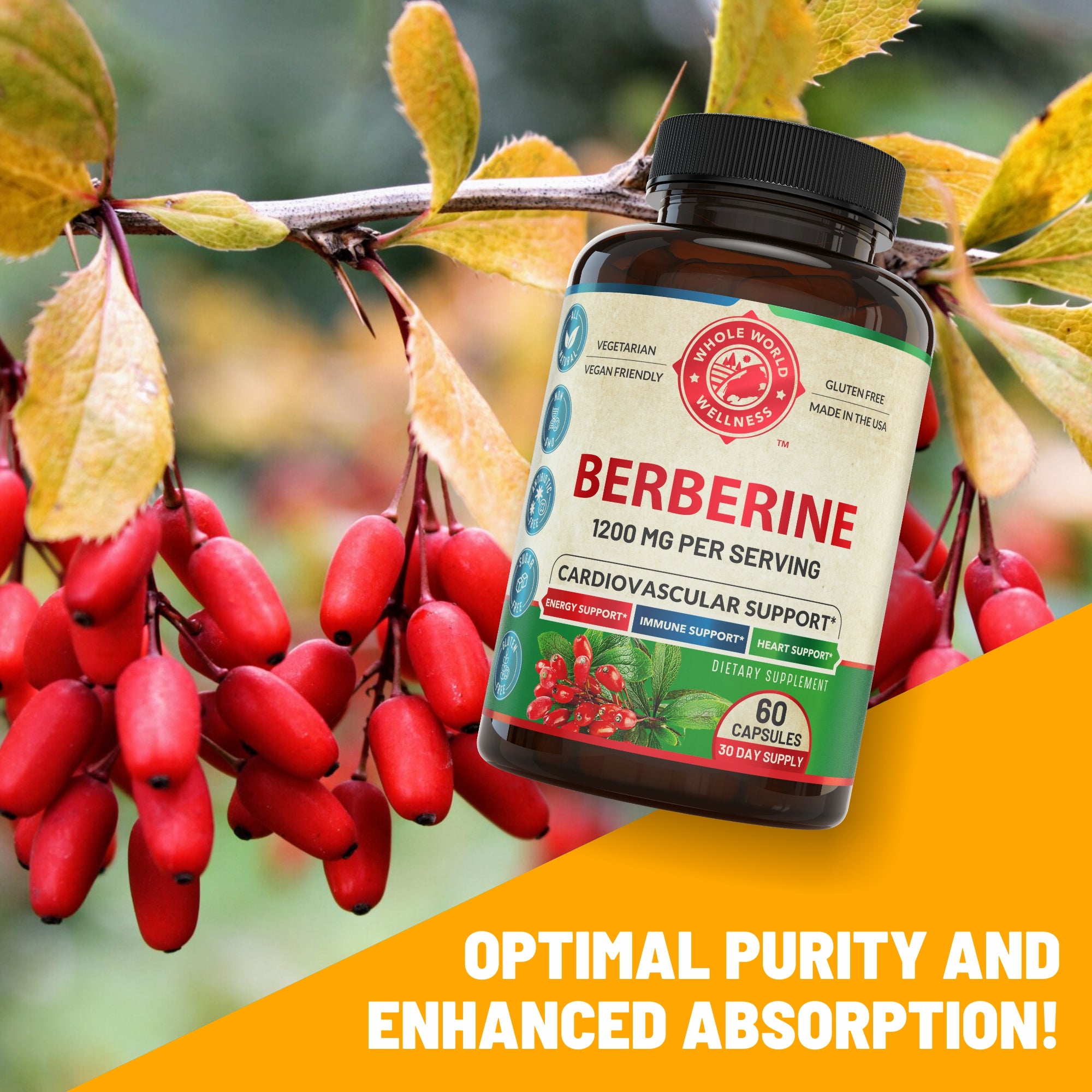 Berberine Supplement