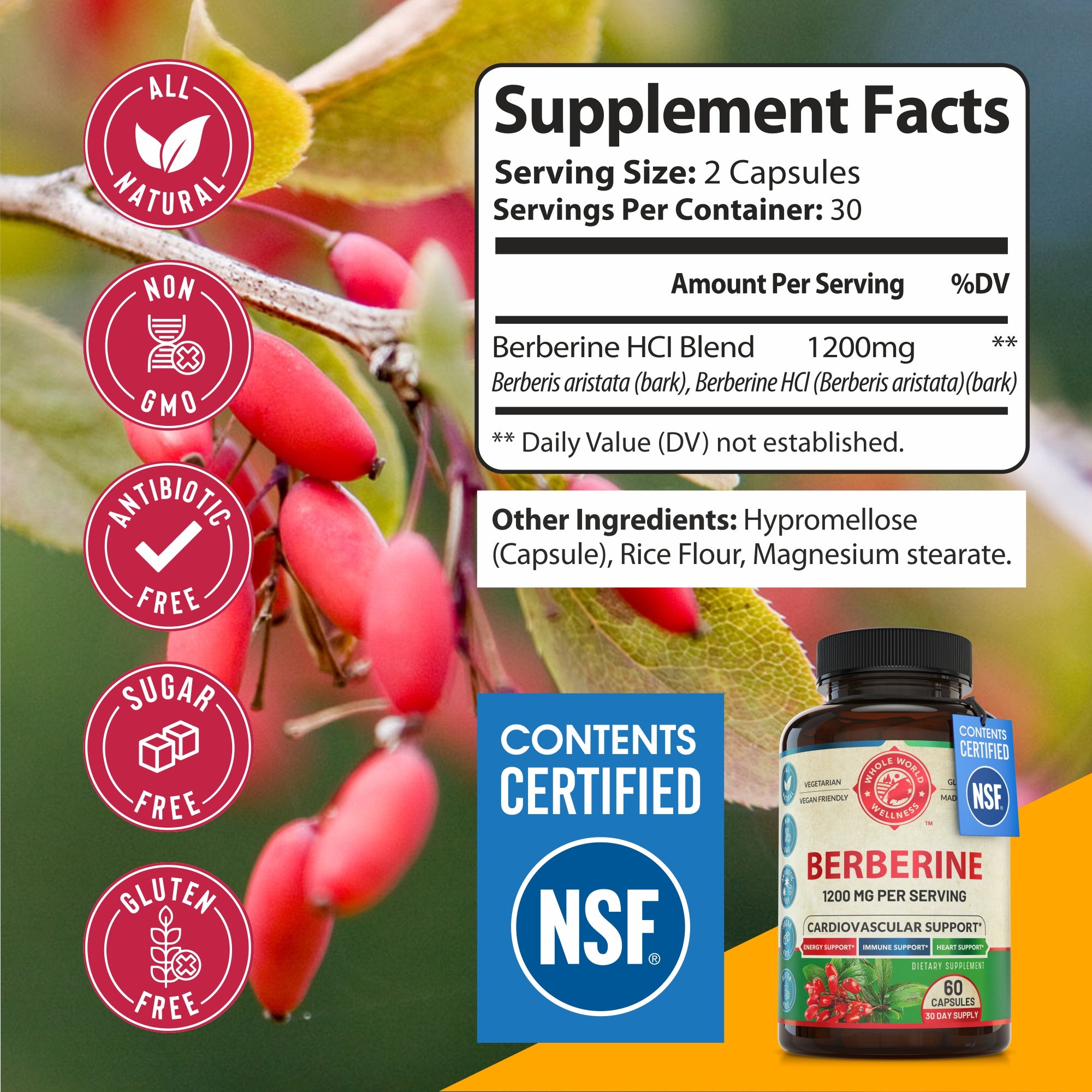 Berberine Supplement