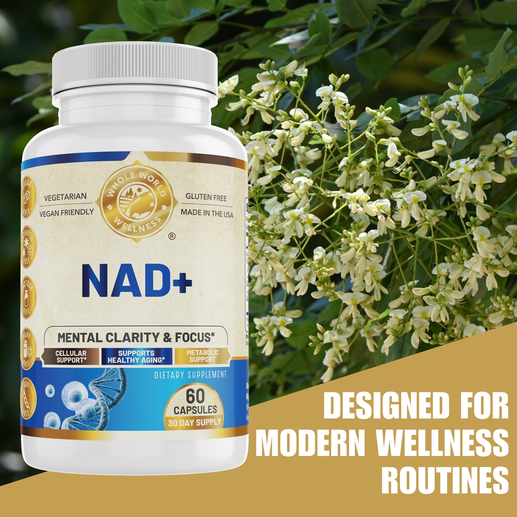 NAD+ Healthy Aging