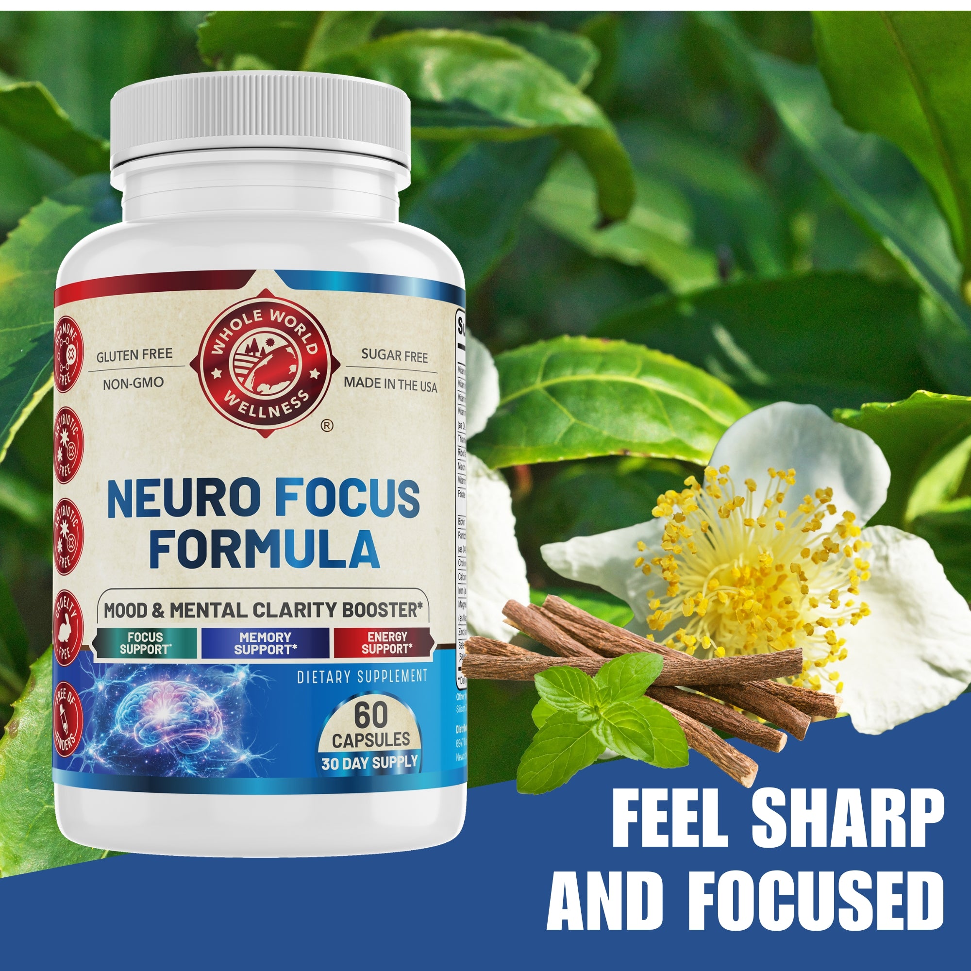 Neuro Focus